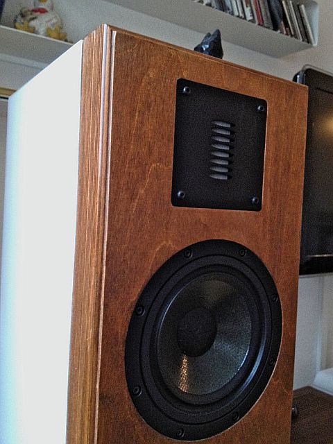 E-Dings Doppel  7