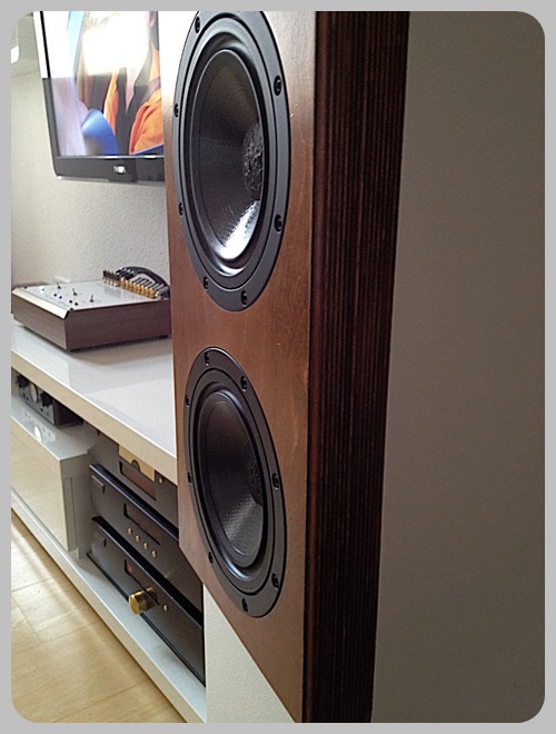 E-Dings Doppel 7