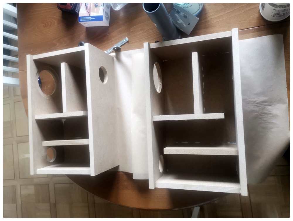 RS100ACLMarius_BILD2