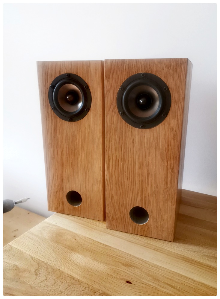 RS100ACLMarius_BILD4